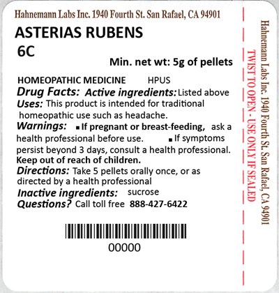 Asterias Rubens 6C 5g.jpg Asterias Rubens 6C 5g - Asterias Rubens 6C 5g